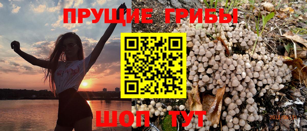 где купить наркоту  Галлюциногенные грибы Magic Shrooms  Озёры  Вход с VPN  Псилоцибиновые грибы GOLDEN TEACHER 