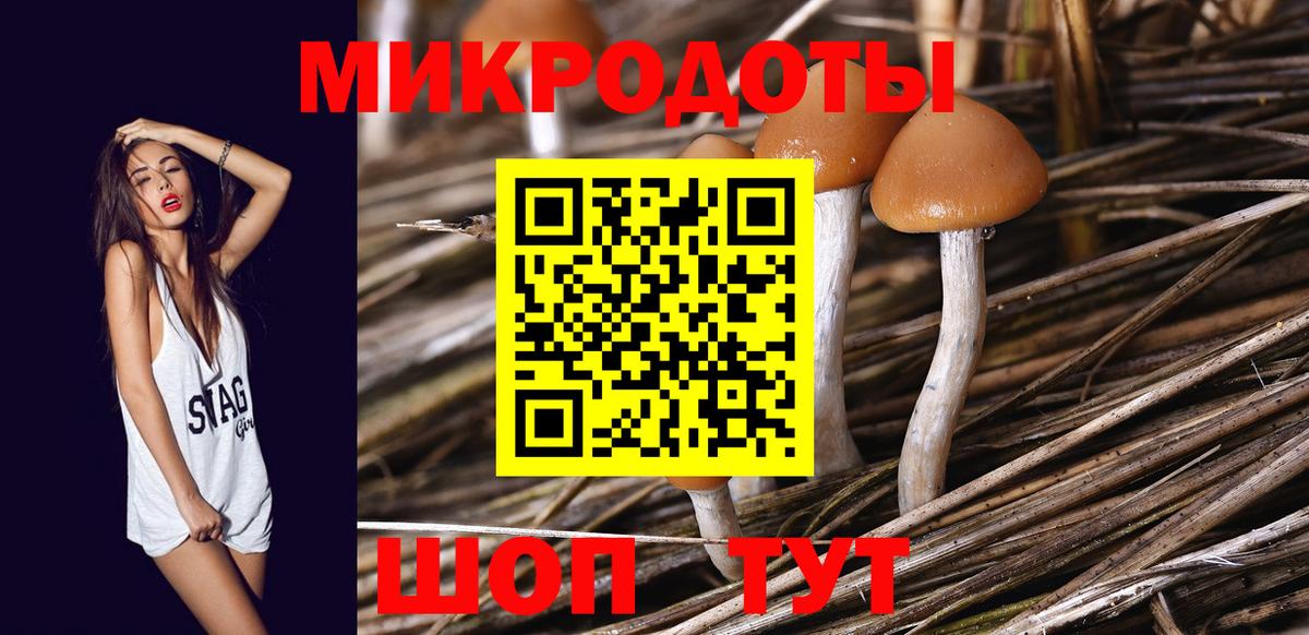 Псилоцибиновые грибы Magic Shrooms Озёры